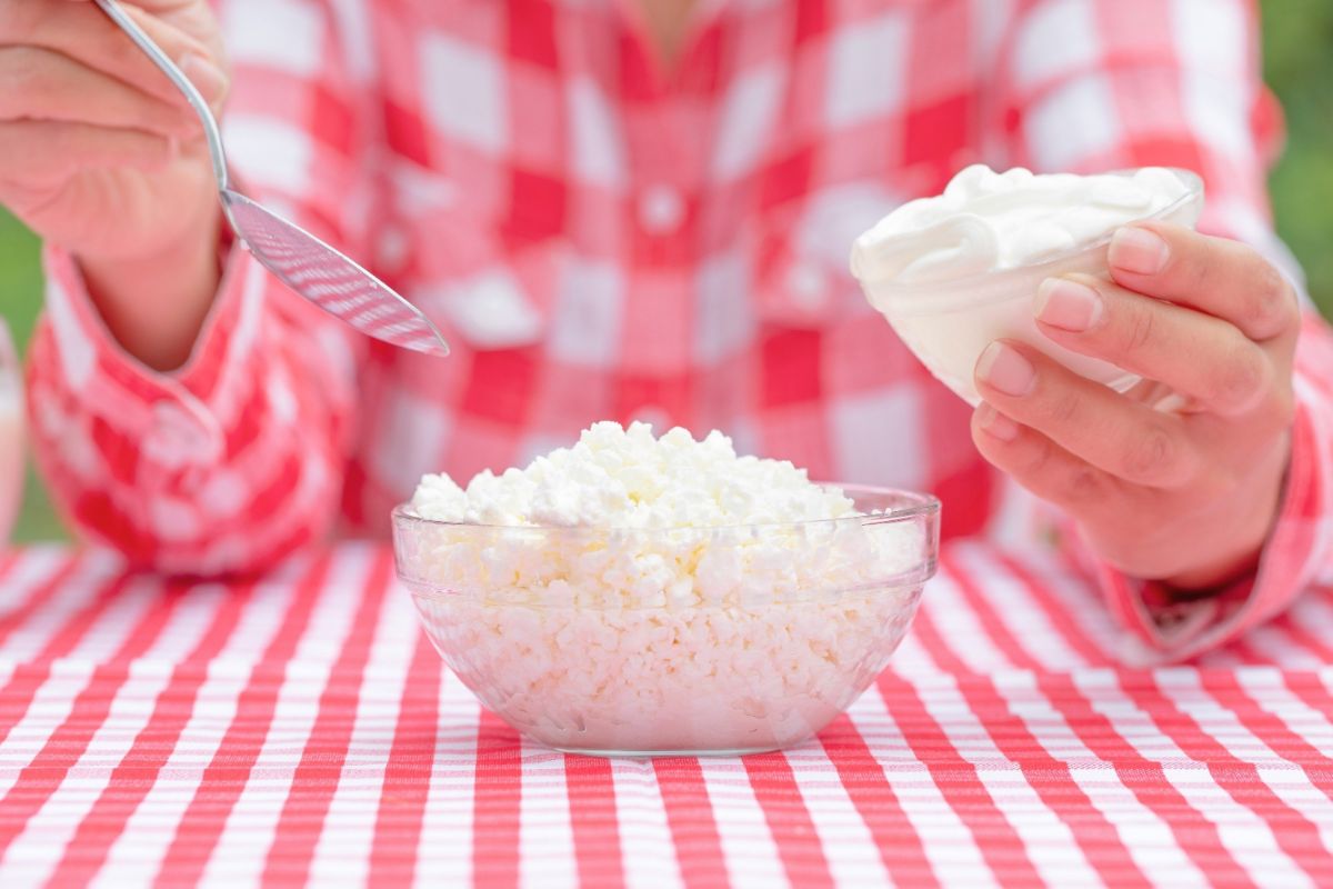 Whipped vs regular cottage cheese, cottage cheese types, cottage cheese texture comparison